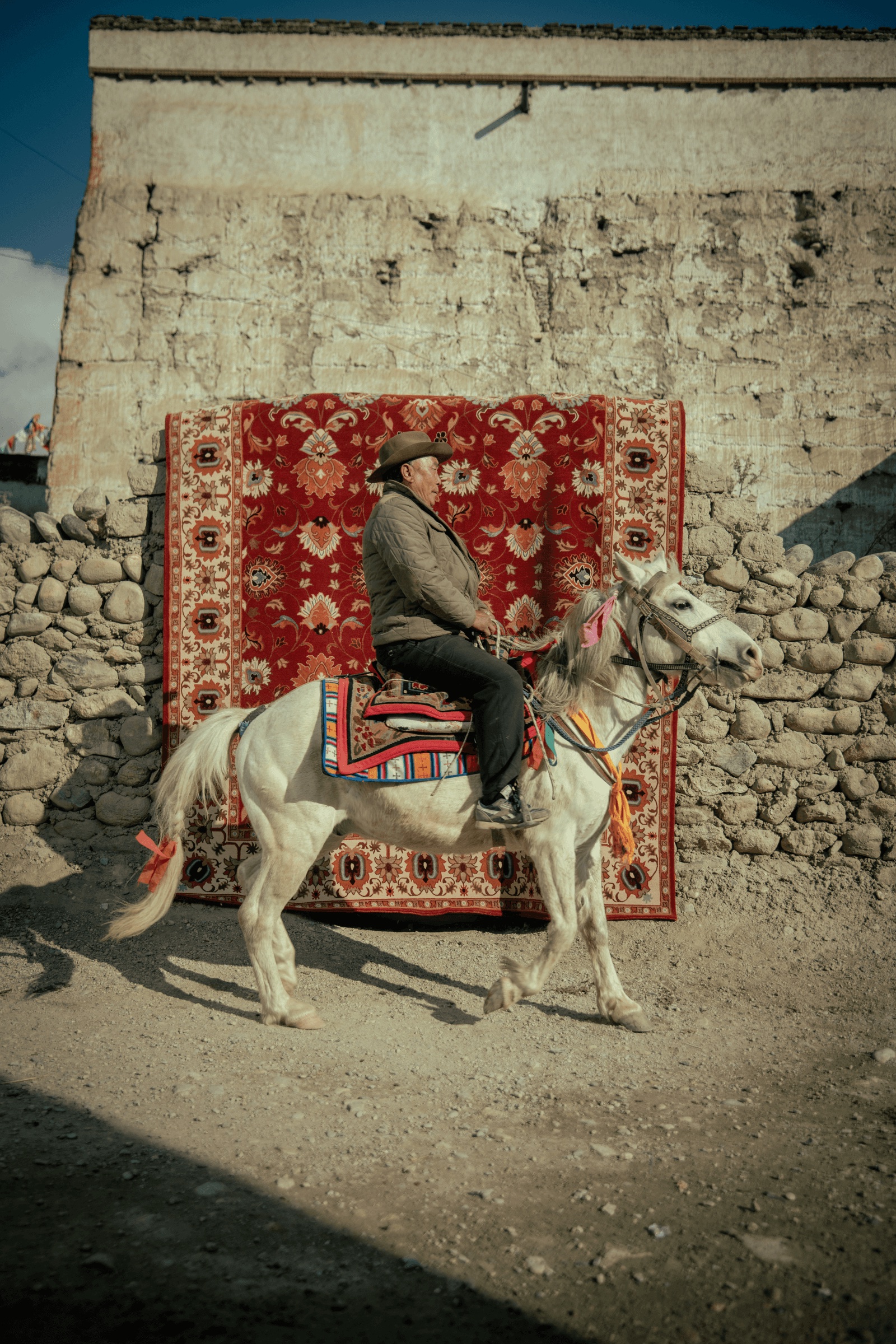 NP Rugs Mustang campaign poster 1